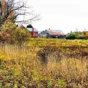 Meet your Posher, Michele